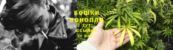 спиды Богданович